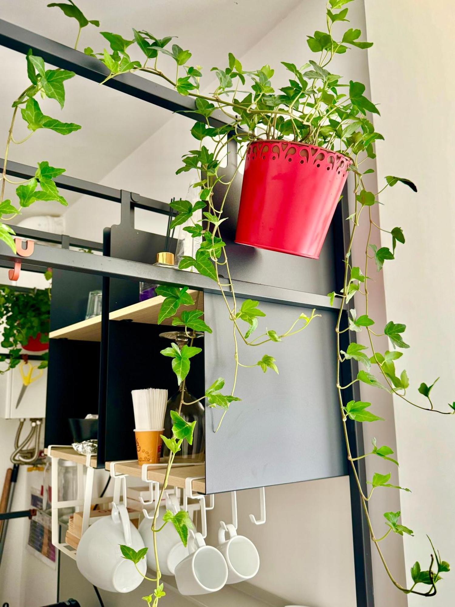 Residenza D'Artista Al Duomo1 Hotell Salerno Eksteriør bilde